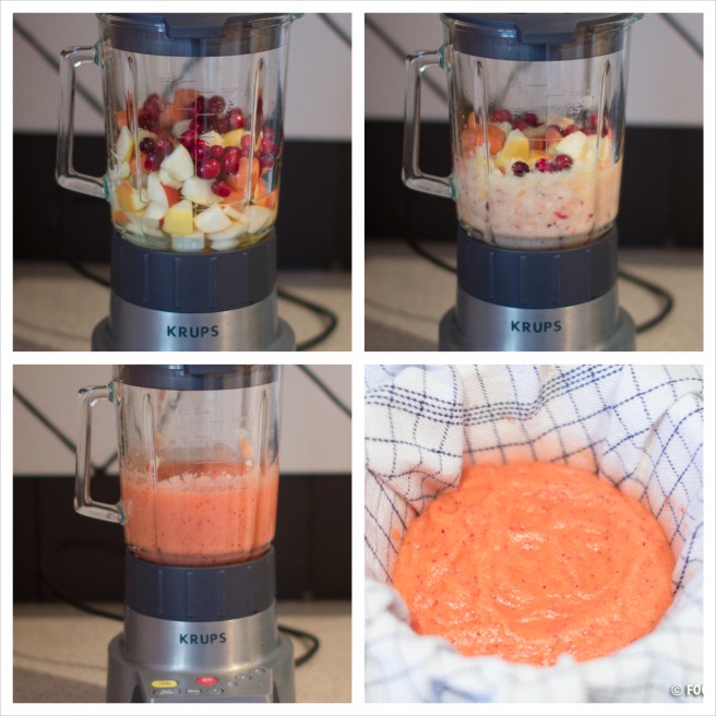 Cranberry Energizer 2_Fotor_Collage